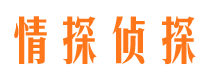 永嘉侦探公司